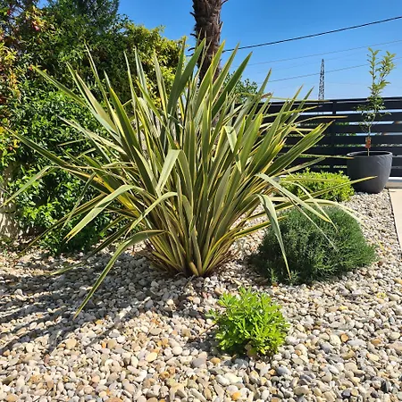 Piccola Adriatic With A Swimming Pool, Grill, Children Playground Opatija Vikendica Icici